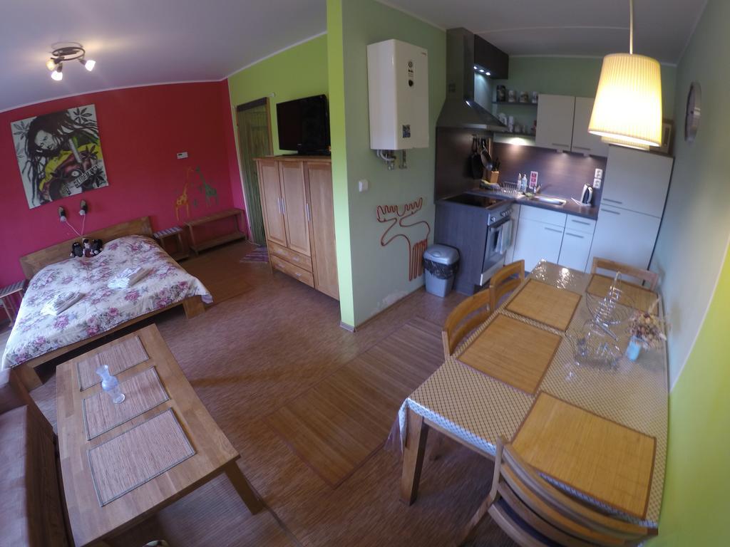 Studio Krusne Hory Klinovec Loučná pod Klínovcem 客房 照片